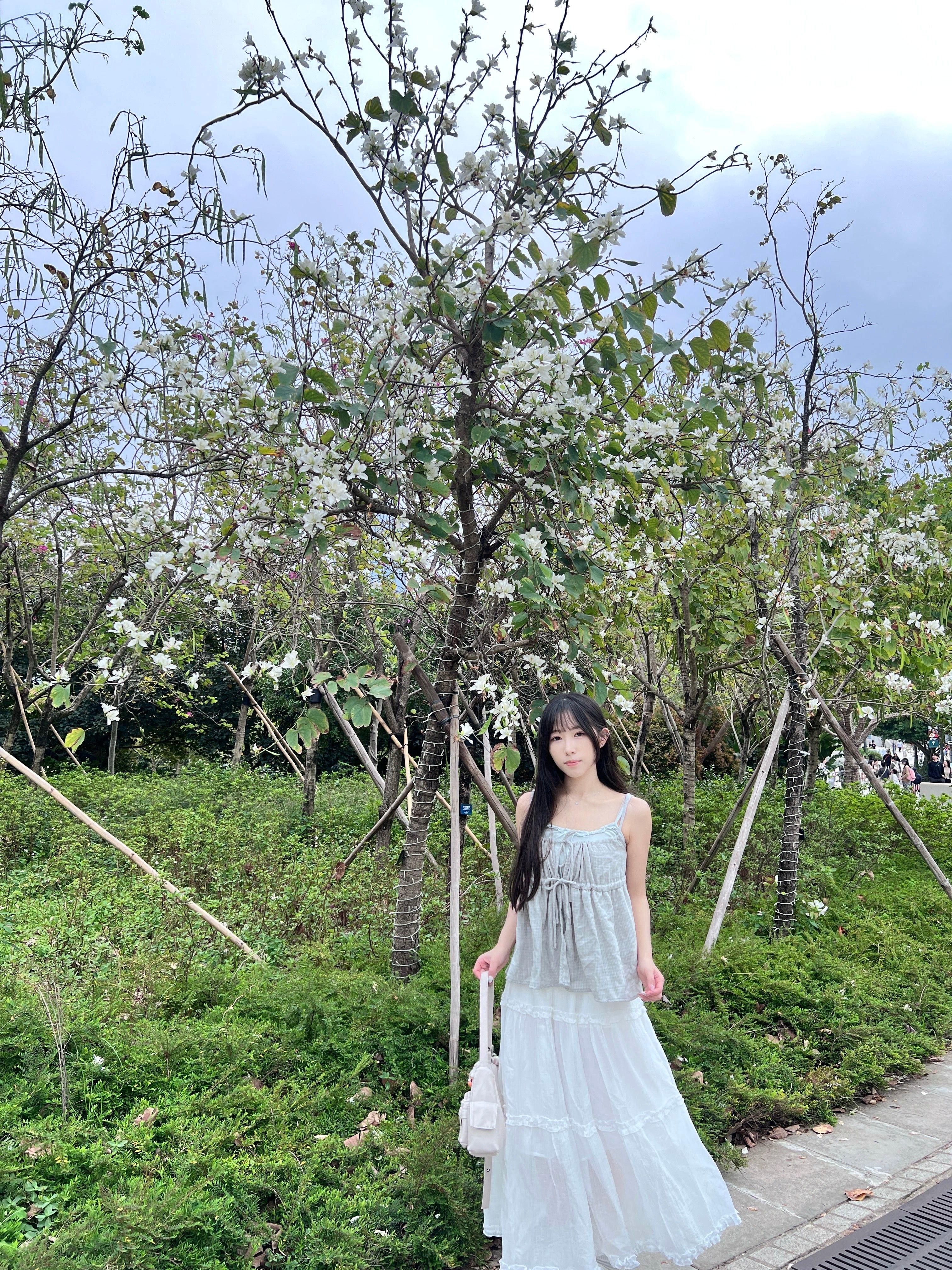 T4290 |日系格紋蝴蝶結吊帶兩件套ꪔ ྀིྀི (3色入）