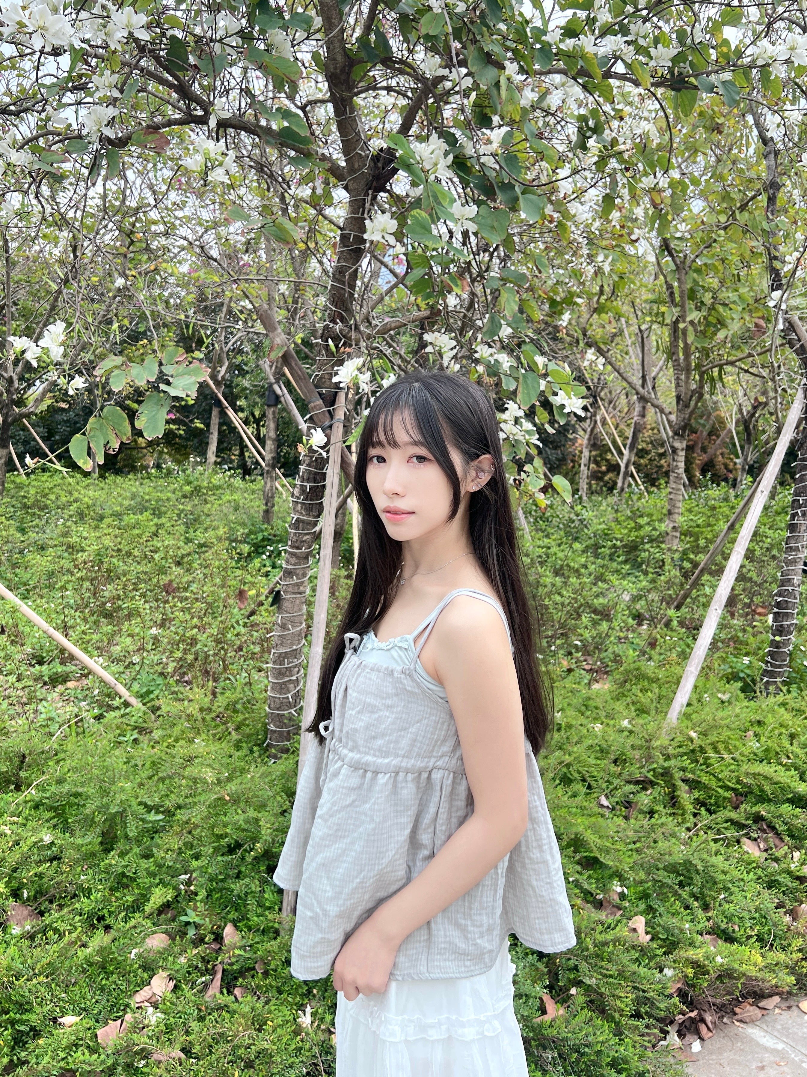 T4290 |日系格紋蝴蝶結吊帶兩件套ꪔ ྀིྀི (3色入）